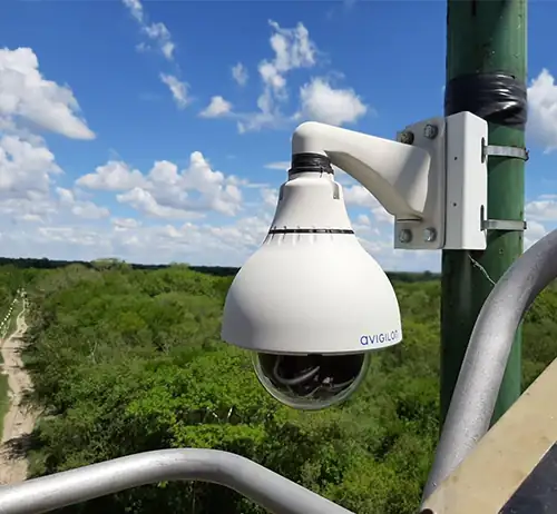 VideoVigilancia